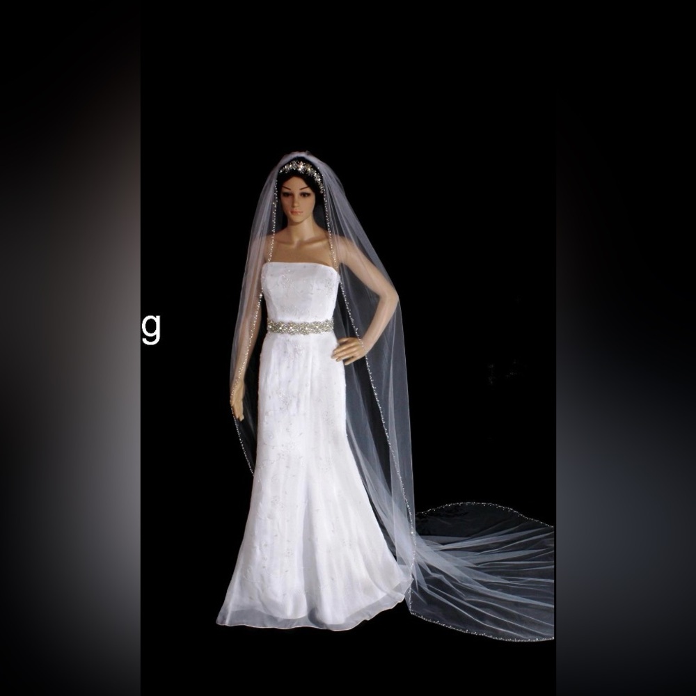 Ivory Cathedral Length Veil crystal and rhinestone beading